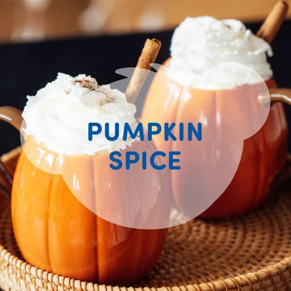 SCENTiments Pumpkin Spice Scent