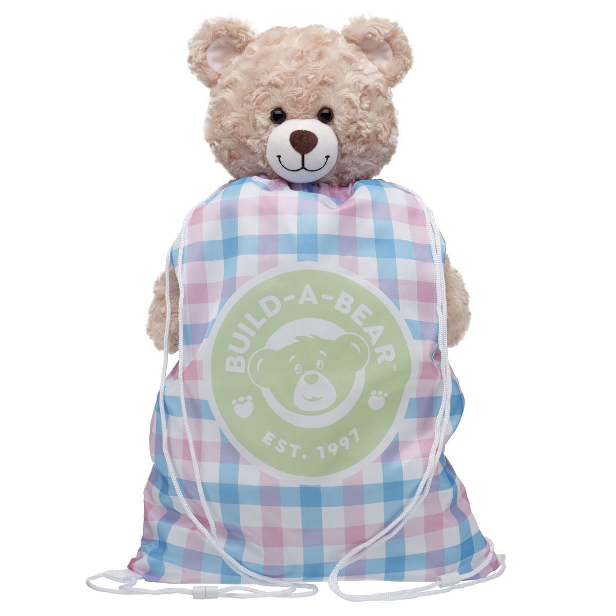 Spring Gingham Toy Bear Carrier - Image 3
