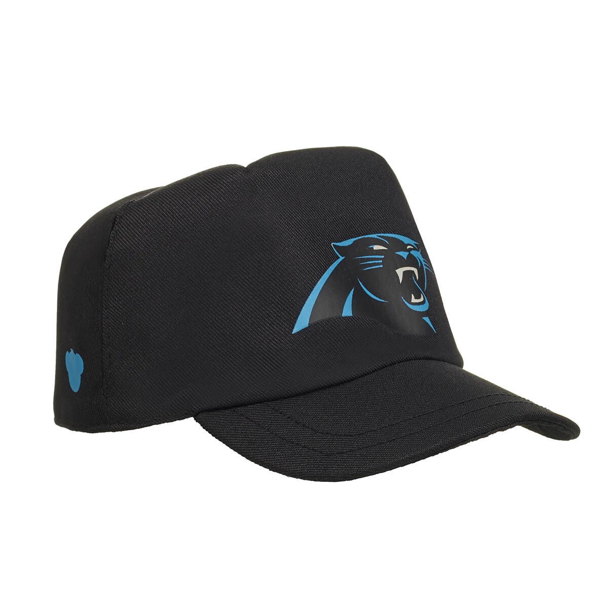Carolina Panthers Fan Hat