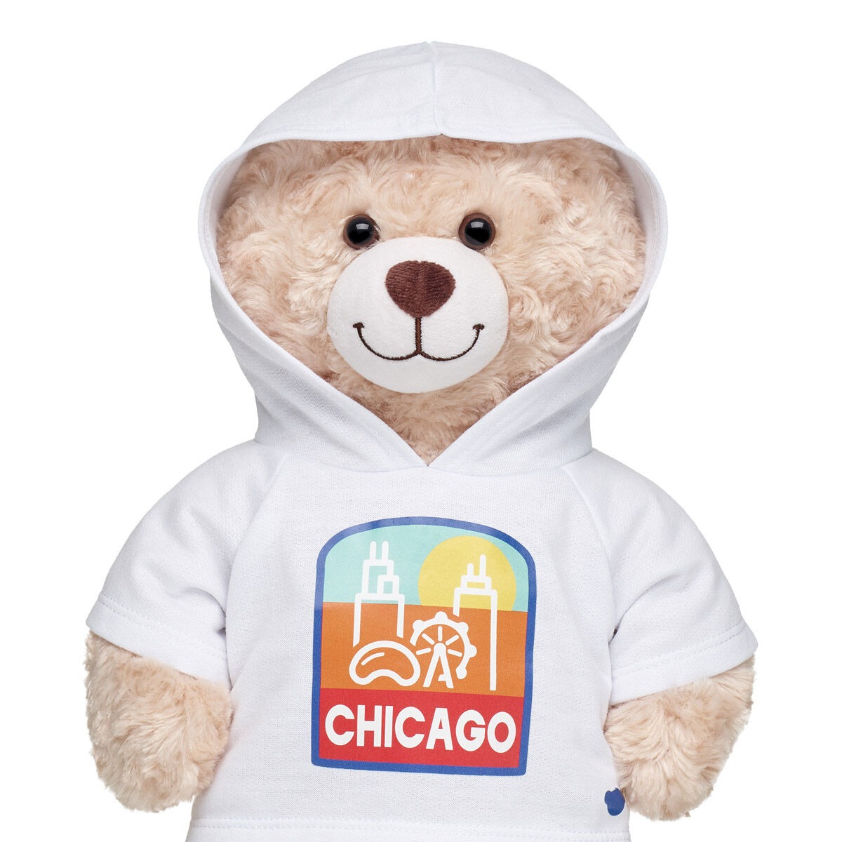 Chicago Hoodie - Image 3