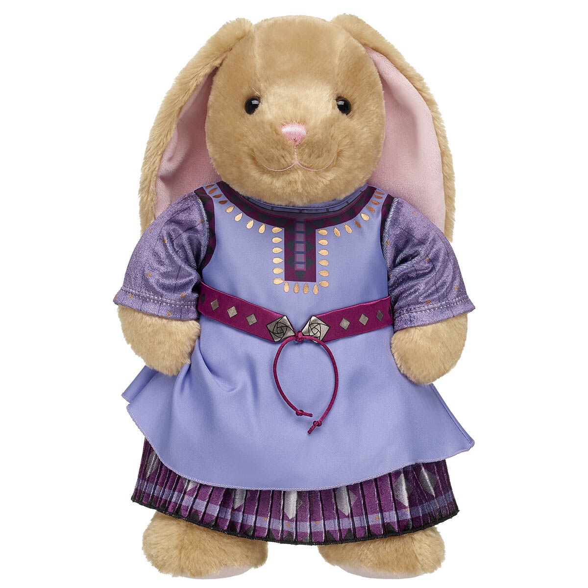 Disney Wish Asha Costume - Image 3