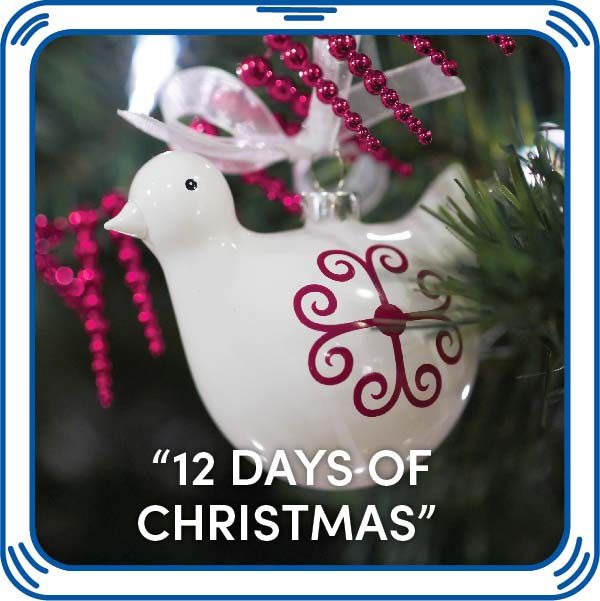 ??12 Days of Christmas??