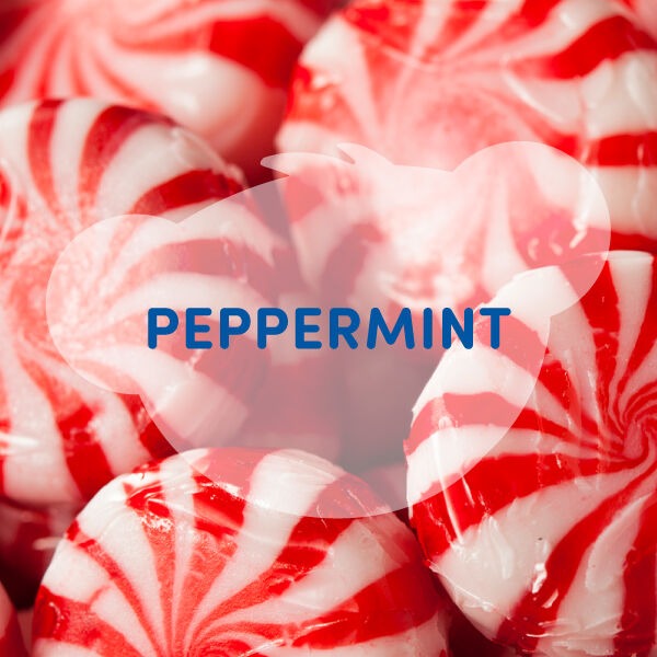 SCENTiments Peppermint Scent
