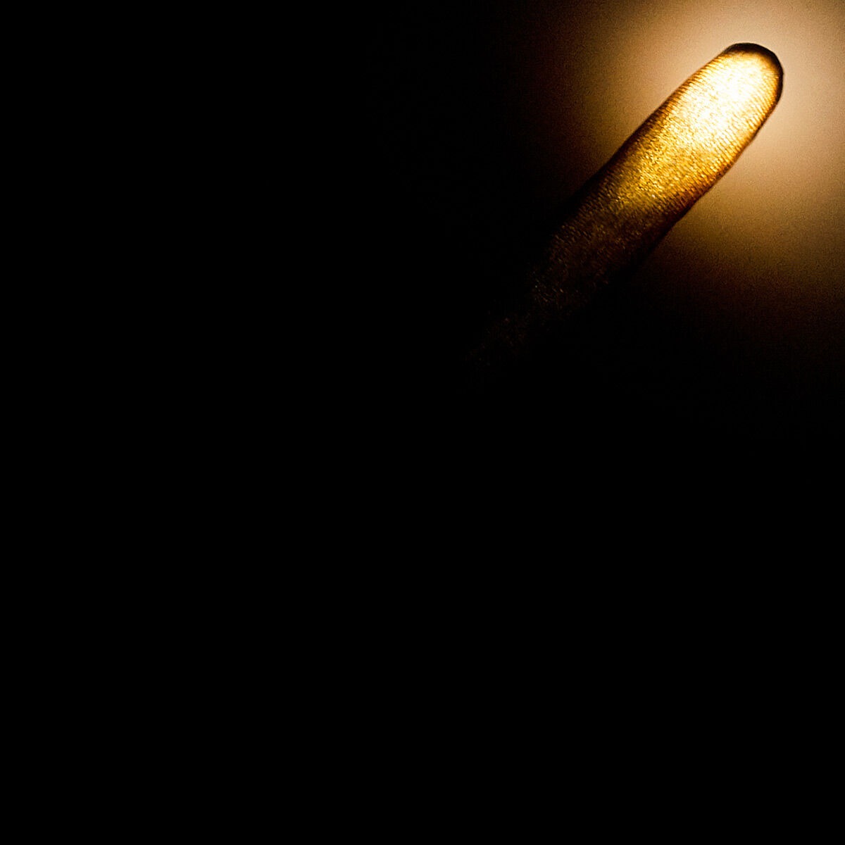 Light-Up Wand with Sound - Image 3