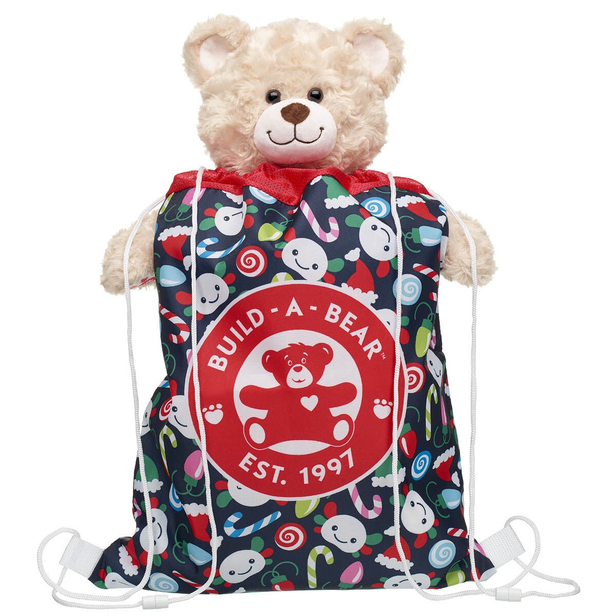 Festive Fun Axolotl Toy Bear Carrier - Image 3