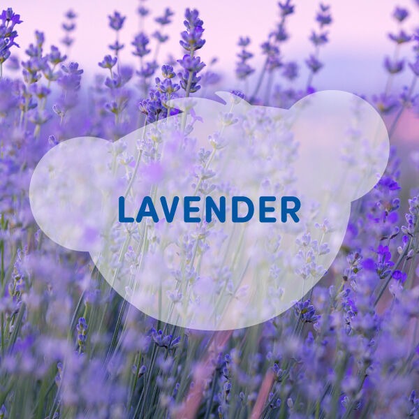 SCENTiments Lavender Scent