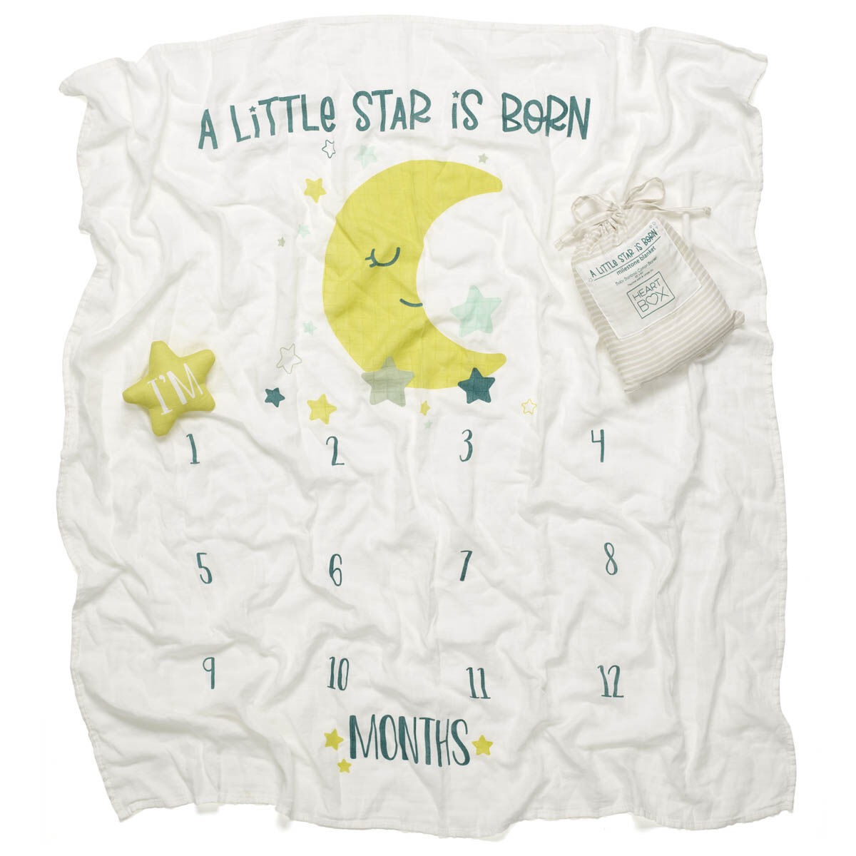 Monthly Milestone Baby Blanket - Image 3