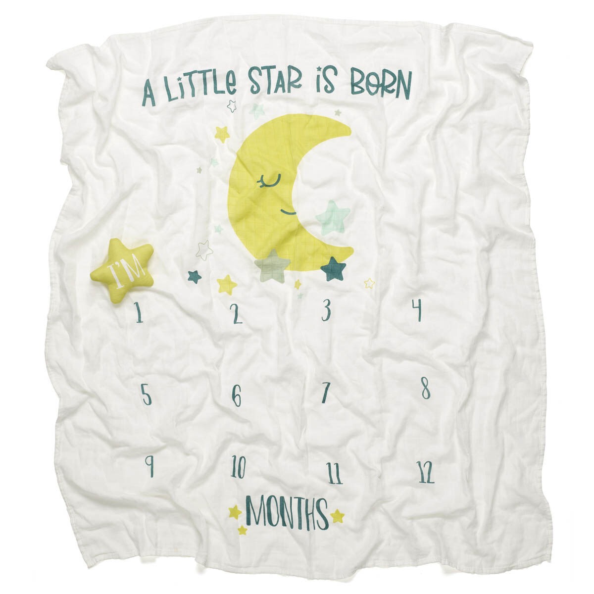 Monthly Milestone Baby Blanket - Image 5